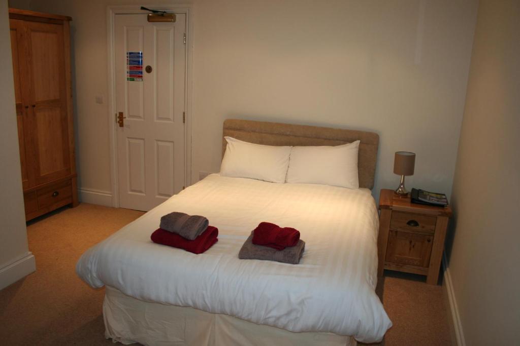 The Trewythen Hotel Llanidloes Bagian luar foto