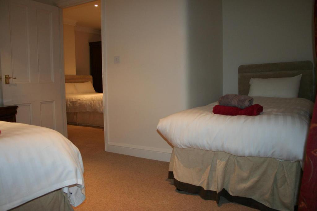 The Trewythen Hotel Llanidloes Bagian luar foto