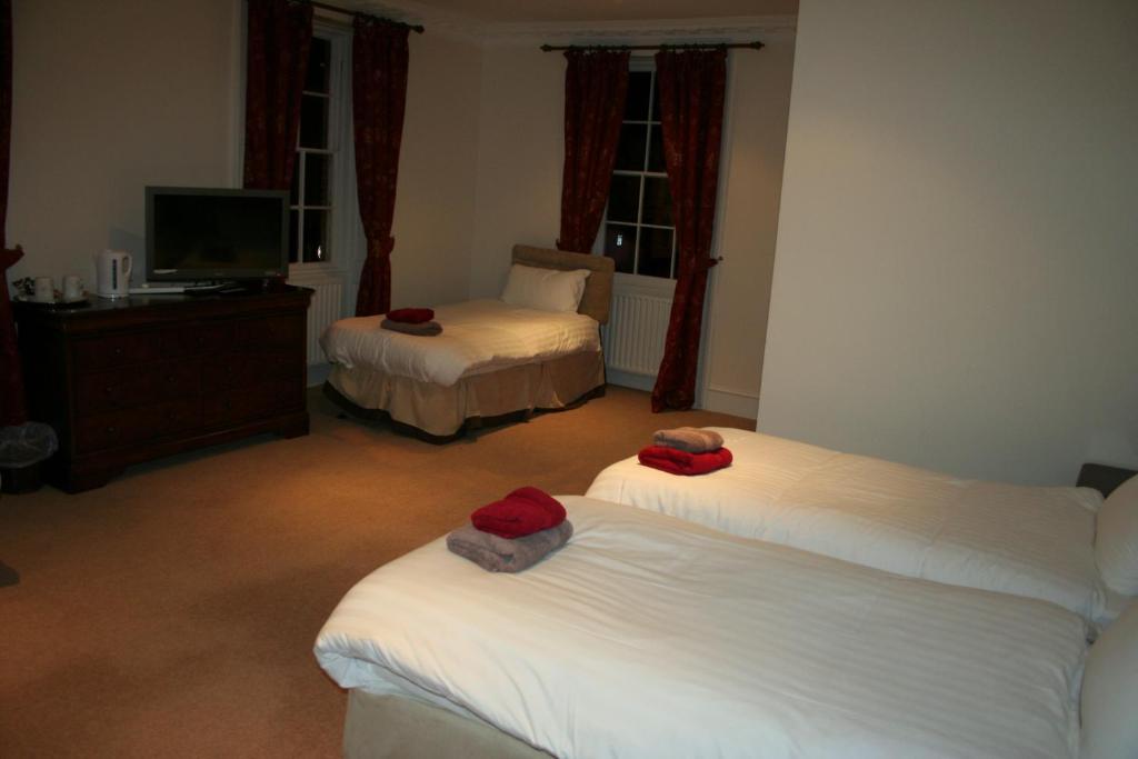 The Trewythen Hotel Llanidloes Bagian luar foto